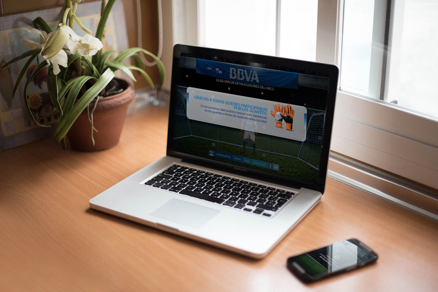 Los Guantes de Chile